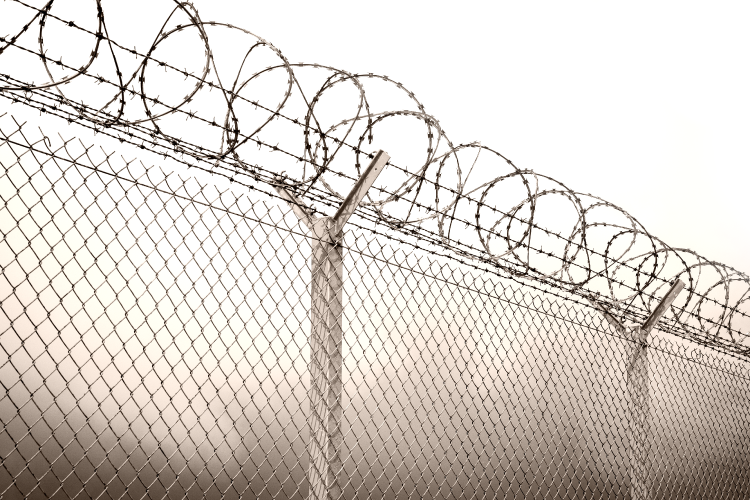 Barbed Wire & Protective Fencing (356A)